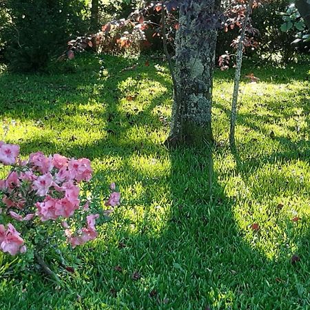Bed and Breakfast Quinta D'Avo Amelia Alquerubim Zewnętrze zdjęcie