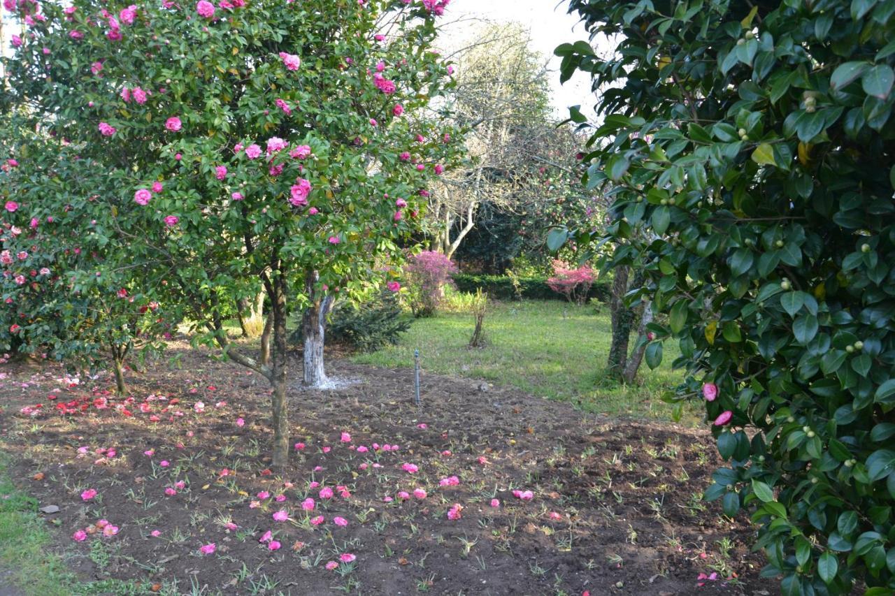 Bed and Breakfast Quinta D'Avo Amelia Alquerubim Zewnętrze zdjęcie