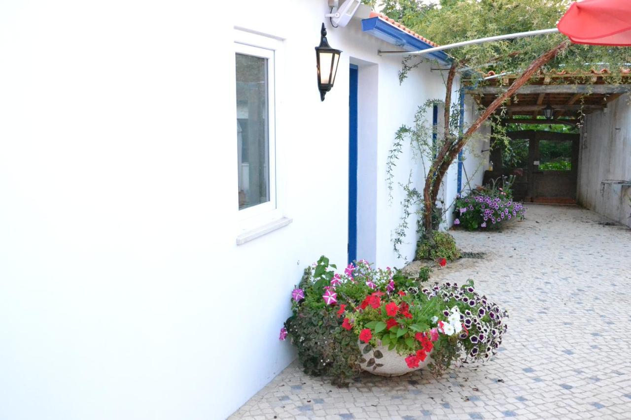 Bed and Breakfast Quinta D'Avo Amelia Alquerubim Zewnętrze zdjęcie