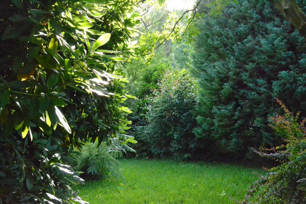 Bed and Breakfast Quinta D'Avo Amelia Alquerubim Zewnętrze zdjęcie
