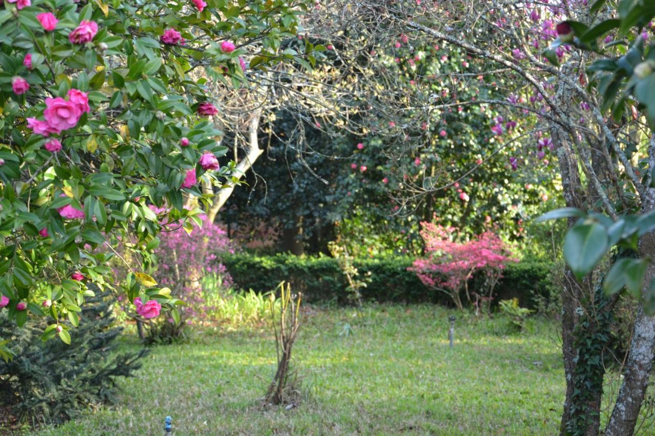 Bed and Breakfast Quinta D'Avo Amelia Alquerubim Zewnętrze zdjęcie