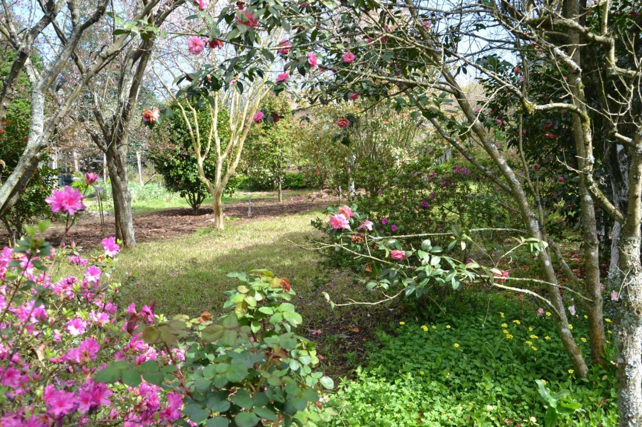Bed and Breakfast Quinta D'Avo Amelia Alquerubim Zewnętrze zdjęcie