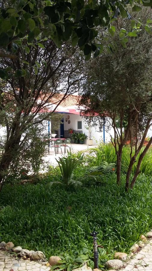Bed and Breakfast Quinta D'Avo Amelia Alquerubim Zewnętrze zdjęcie