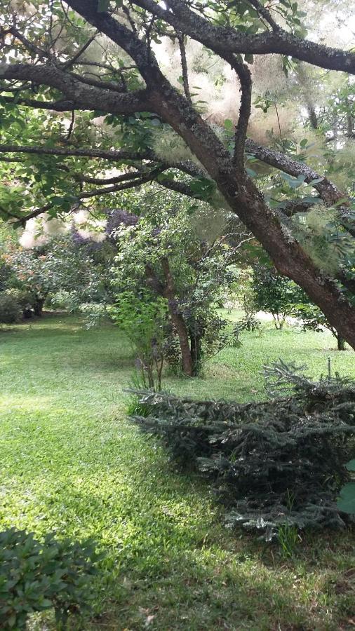 Bed and Breakfast Quinta D'Avo Amelia Alquerubim Zewnętrze zdjęcie