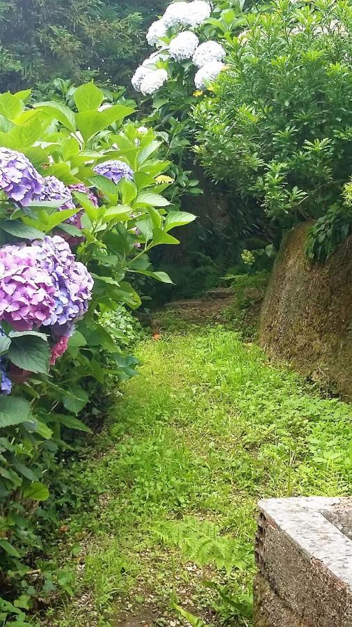 Bed and Breakfast Quinta D'Avo Amelia Alquerubim Zewnętrze zdjęcie