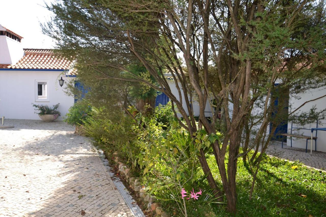 Bed and Breakfast Quinta D'Avo Amelia Alquerubim Zewnętrze zdjęcie
