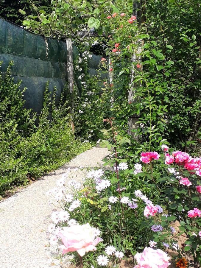 Bed and Breakfast Quinta D'Avo Amelia Alquerubim Zewnętrze zdjęcie