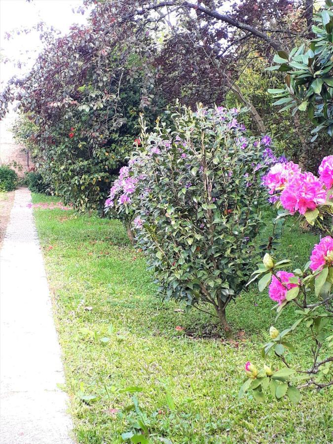Bed and Breakfast Quinta D'Avo Amelia Alquerubim Zewnętrze zdjęcie