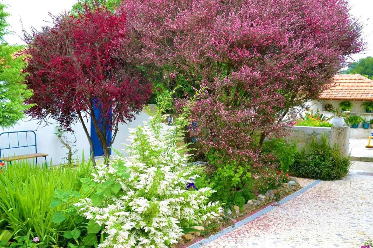 Bed and Breakfast Quinta D'Avo Amelia Alquerubim Zewnętrze zdjęcie
