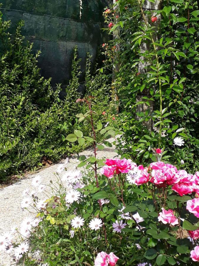 Bed and Breakfast Quinta D'Avo Amelia Alquerubim Zewnętrze zdjęcie