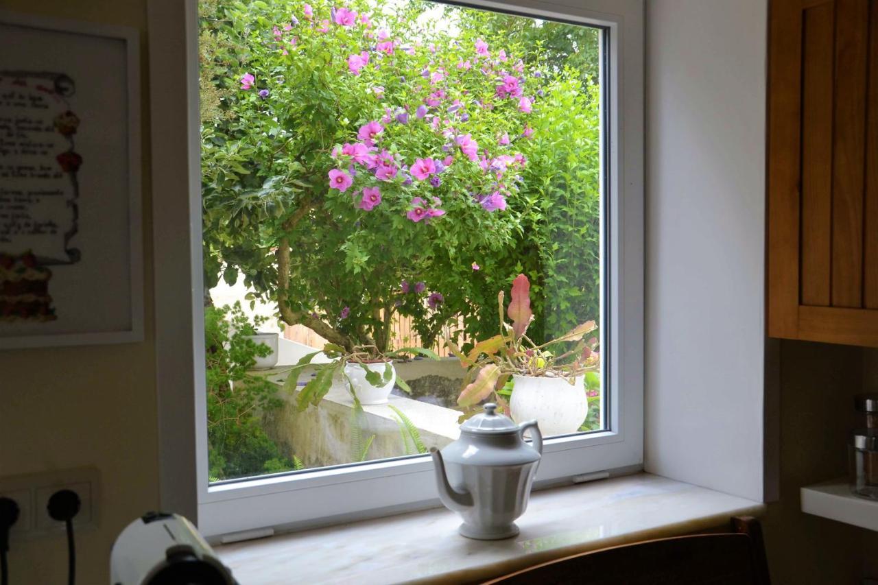 Bed and Breakfast Quinta D'Avo Amelia Alquerubim Zewnętrze zdjęcie