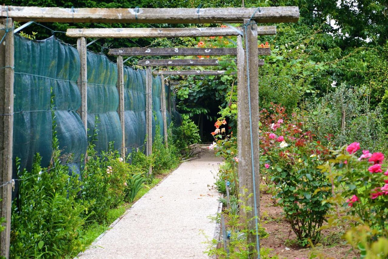 Bed and Breakfast Quinta D'Avo Amelia Alquerubim Zewnętrze zdjęcie