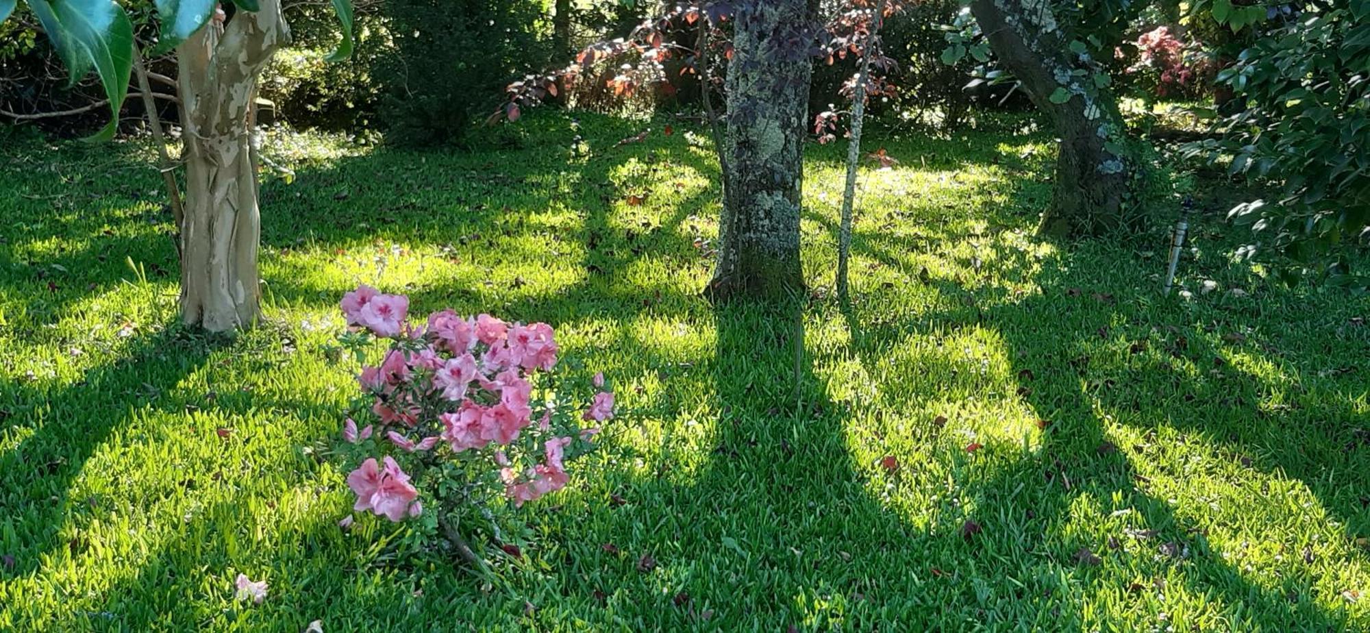 Bed and Breakfast Quinta D'Avo Amelia Alquerubim Zewnętrze zdjęcie